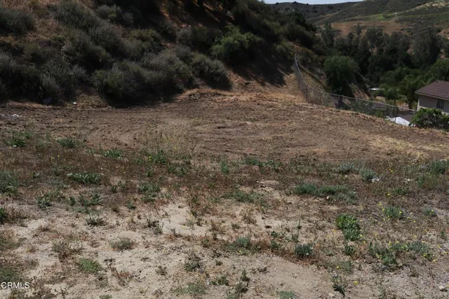 a view of a dry yard with green space