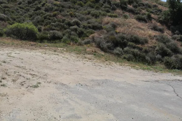 a view of a dry yard with wooden fence