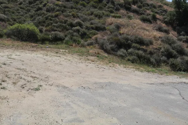 a view of a dry yard with wooden fence