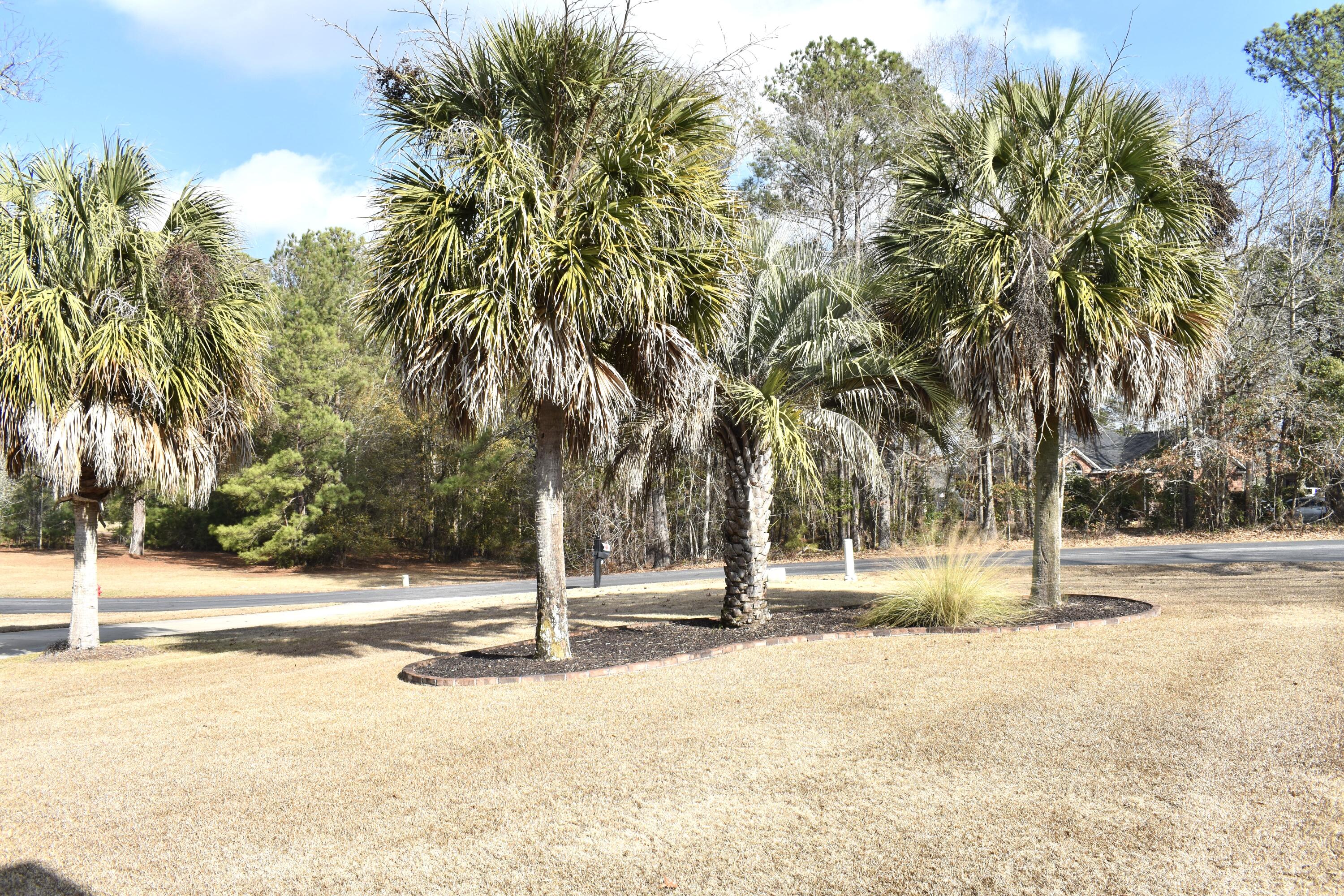 2 Fairway Drive Manning, SC 29102 - Photo 4 of 5 DSC_0056