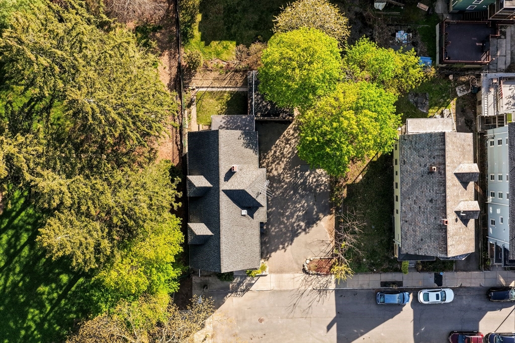83 Tower Street Boston, MA 02130 - Photo 10 of 10 front view of a house with a tree