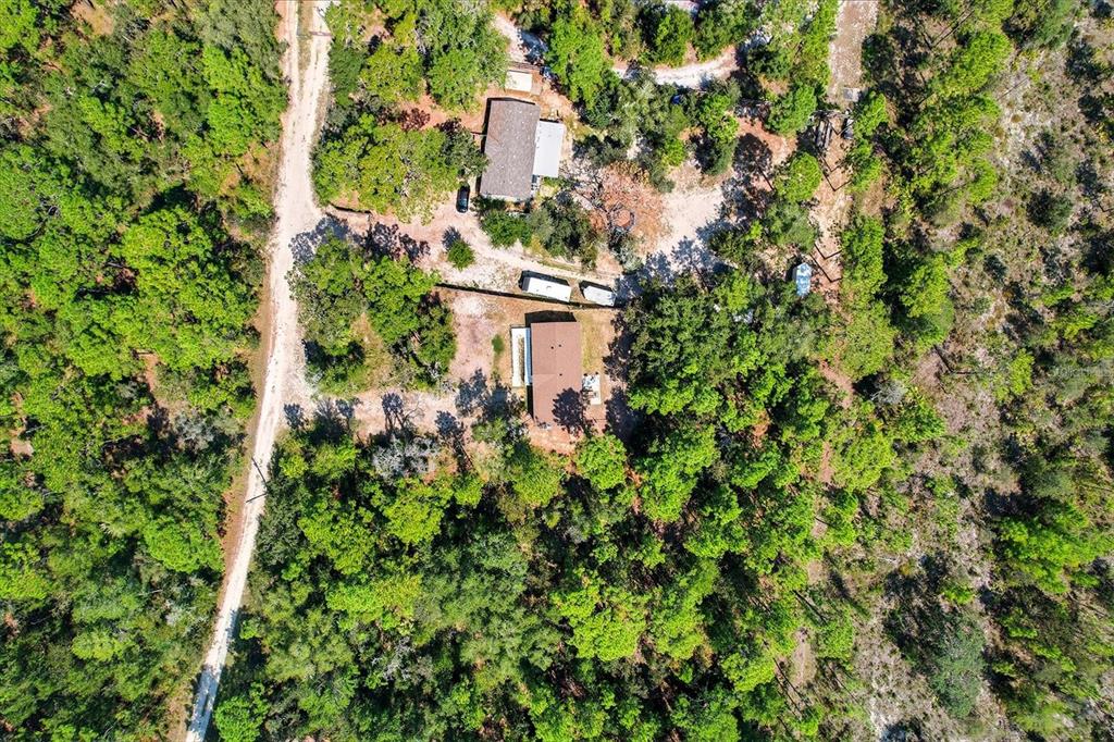 4801 North Mattox Point Crystal River, FL 34428 - Photo 43 of 46 a view of a house with a lush green forest