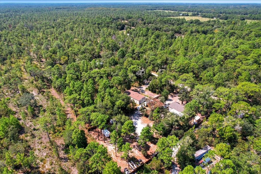 4801 North Mattox Point Crystal River, FL 34428 - Photo 46 of 46 view of a city with lush green forest