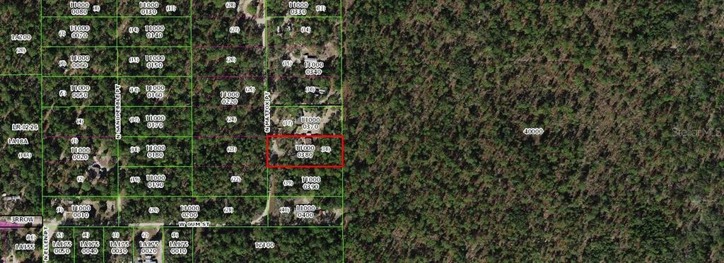 4801 North Mattox Point Crystal River, FL 34428 - Photo 6 of 46 a close up of a plant in a backyard