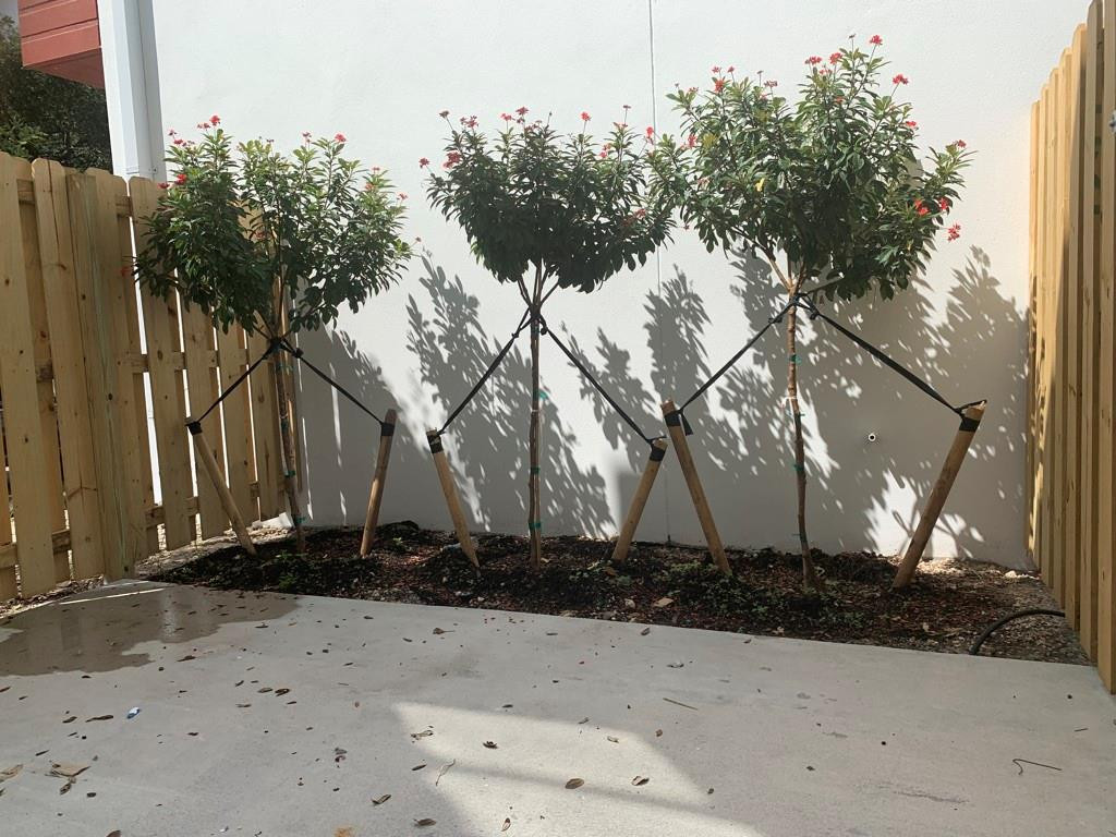 309 Foster Road, Unit 7 Hallandale Beach, FL 33009 - Photo 18 of 53 a view of a house with a yard