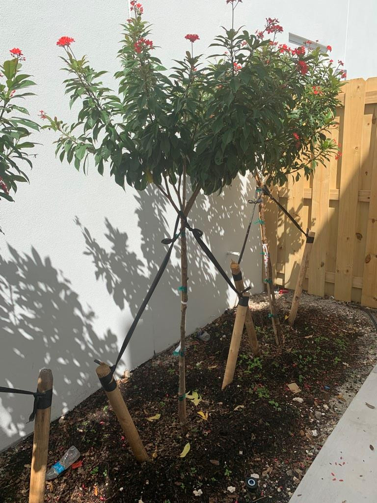 309 Foster Road, Unit 7 Hallandale Beach, FL 33009 - Photo 20 of 53 a backyard of a house