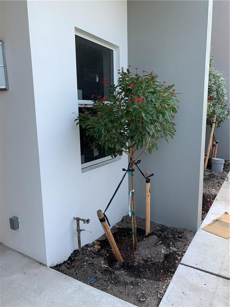 309 Foster Road, Unit 7 Hallandale Beach, FL 33009 - Photo 48 of 53 a vase of flowers sitting on a table in a room