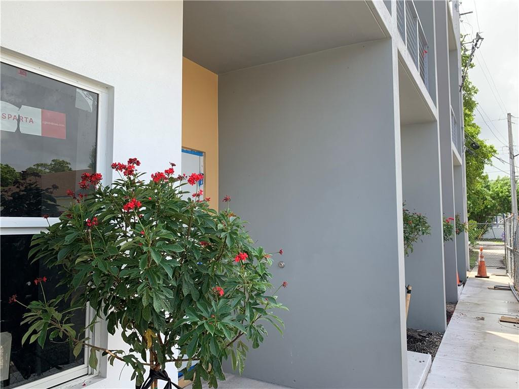309 Foster Road, Unit 7 Hallandale Beach, FL 33009 - Photo 51 of 53 a flower plants in front of a glass door