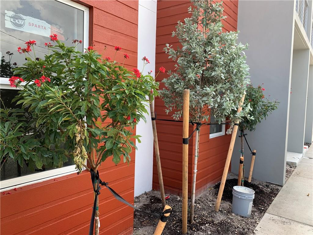 309 Foster Road, Unit 7 Hallandale Beach, FL 33009 - Photo 8 of 53 a potted plant sitting in front of a house