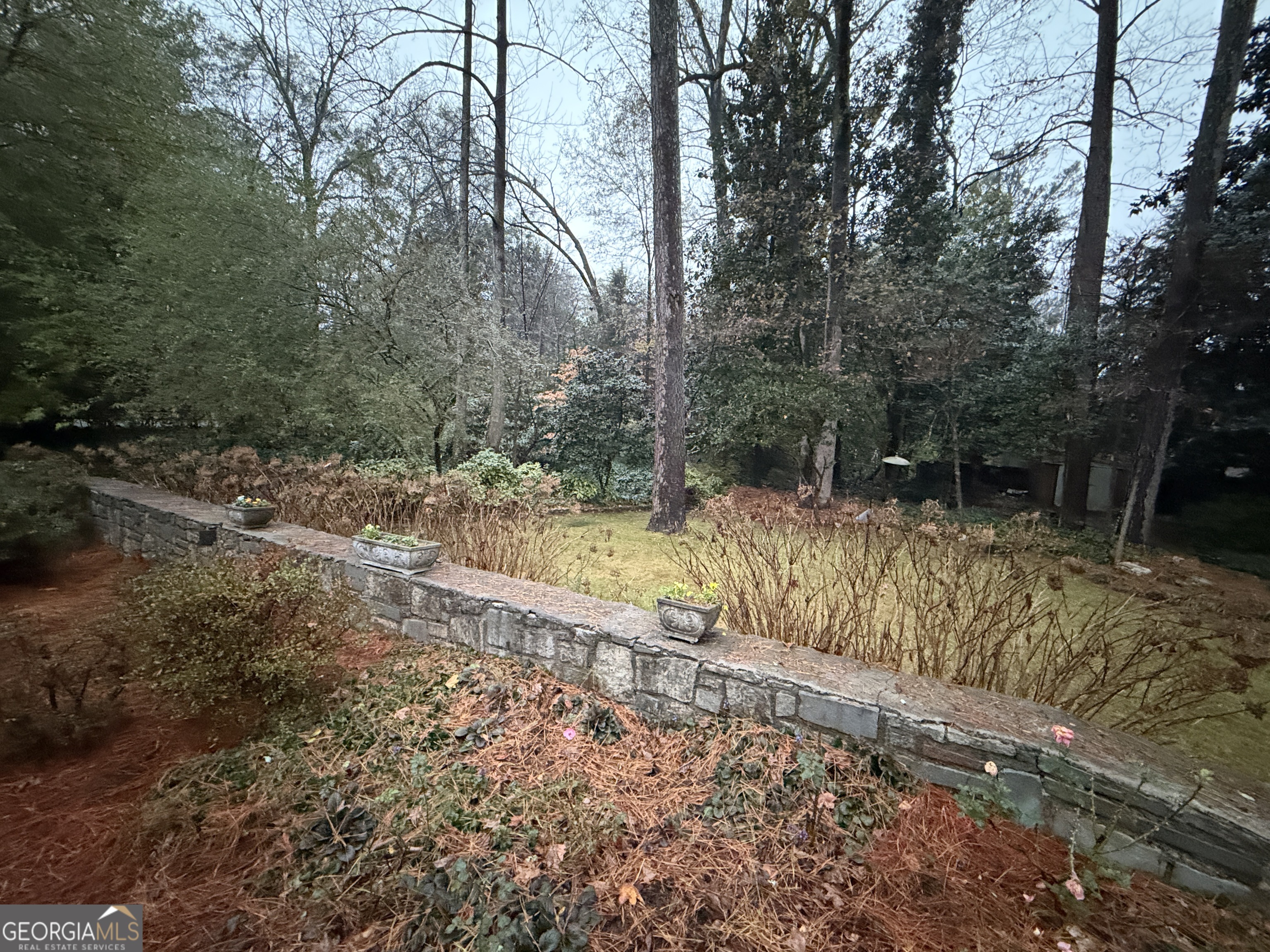 2352 Leafmore Drive Decatur, GA 30033 - Photo 11 of 28 a view of backyard with green space