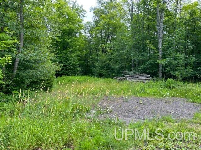 Tbd Lehtola Road Chassell, MI 49916 - Photo 8 of 59 Gallery Image 8
