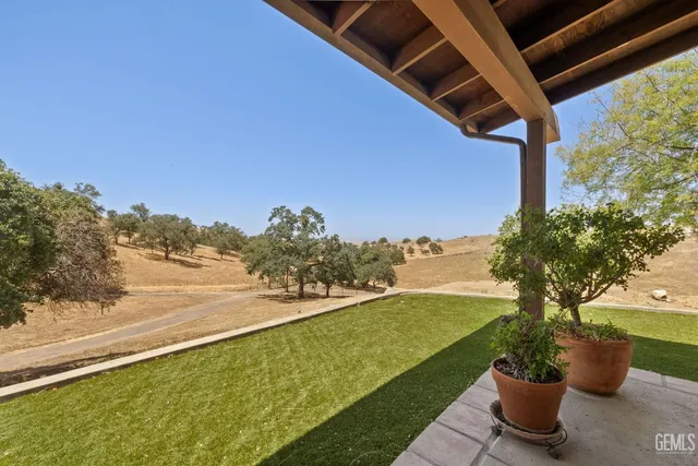 a view of a yard with trees