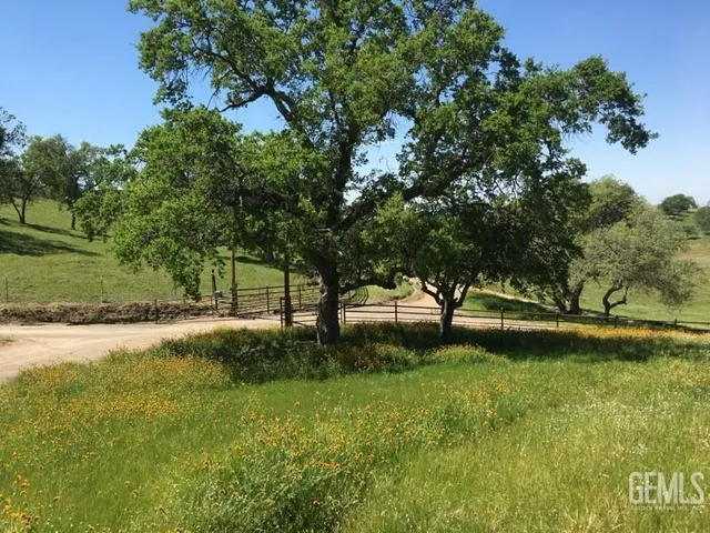 a view of a park with large trees