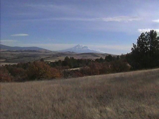 Black Mountain Road Montague, CA 96064 - Photo 1 of 4 Gallery Image 1