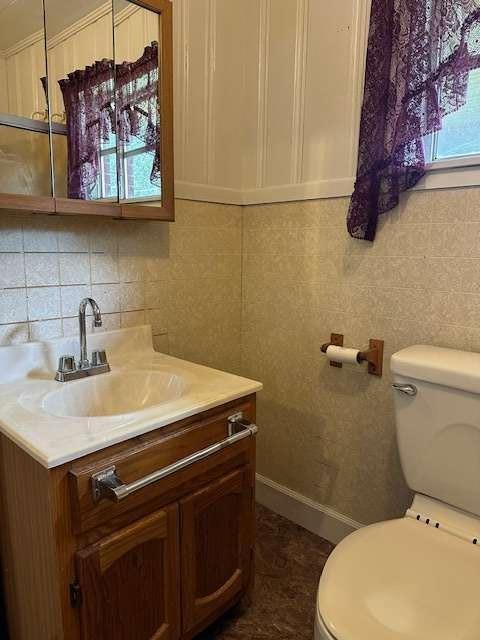 1323 Cavender Creek Road Dahlonega, GA 30533 - Photo 22 of 56 a bathroom with a sink a toilet and a mirror