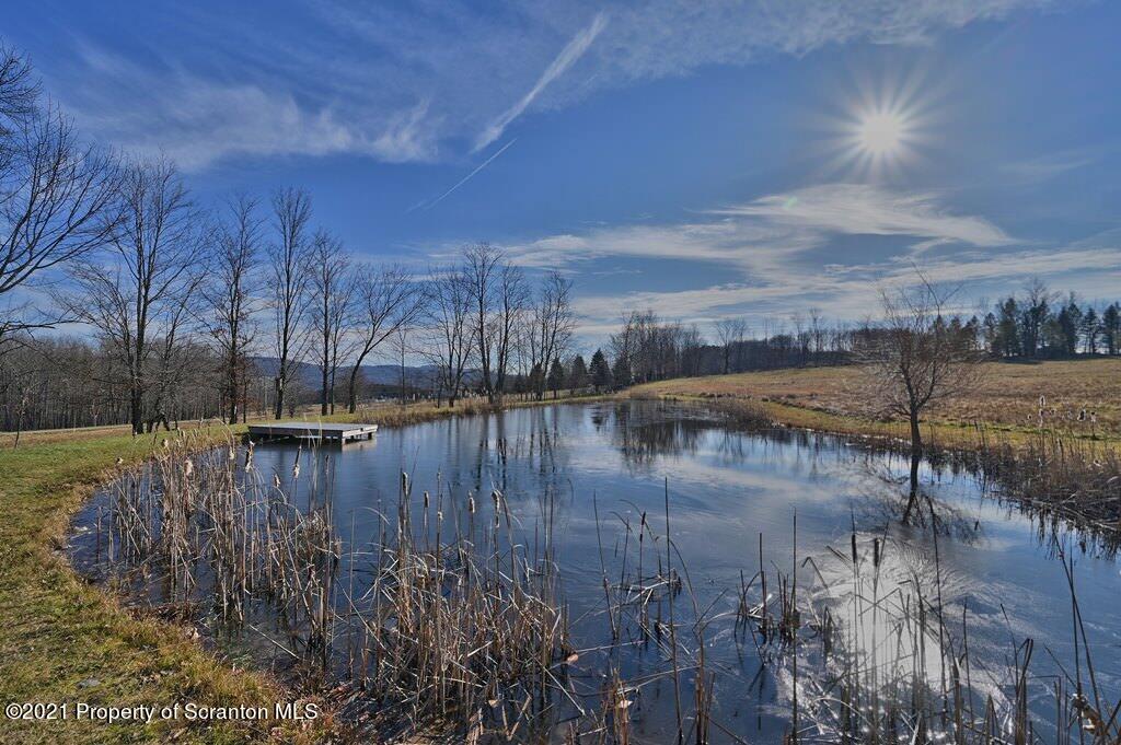 293 Berg Hill Road Kingsley, PA 18826 - Photo 3 of 173 Gallery Image 3