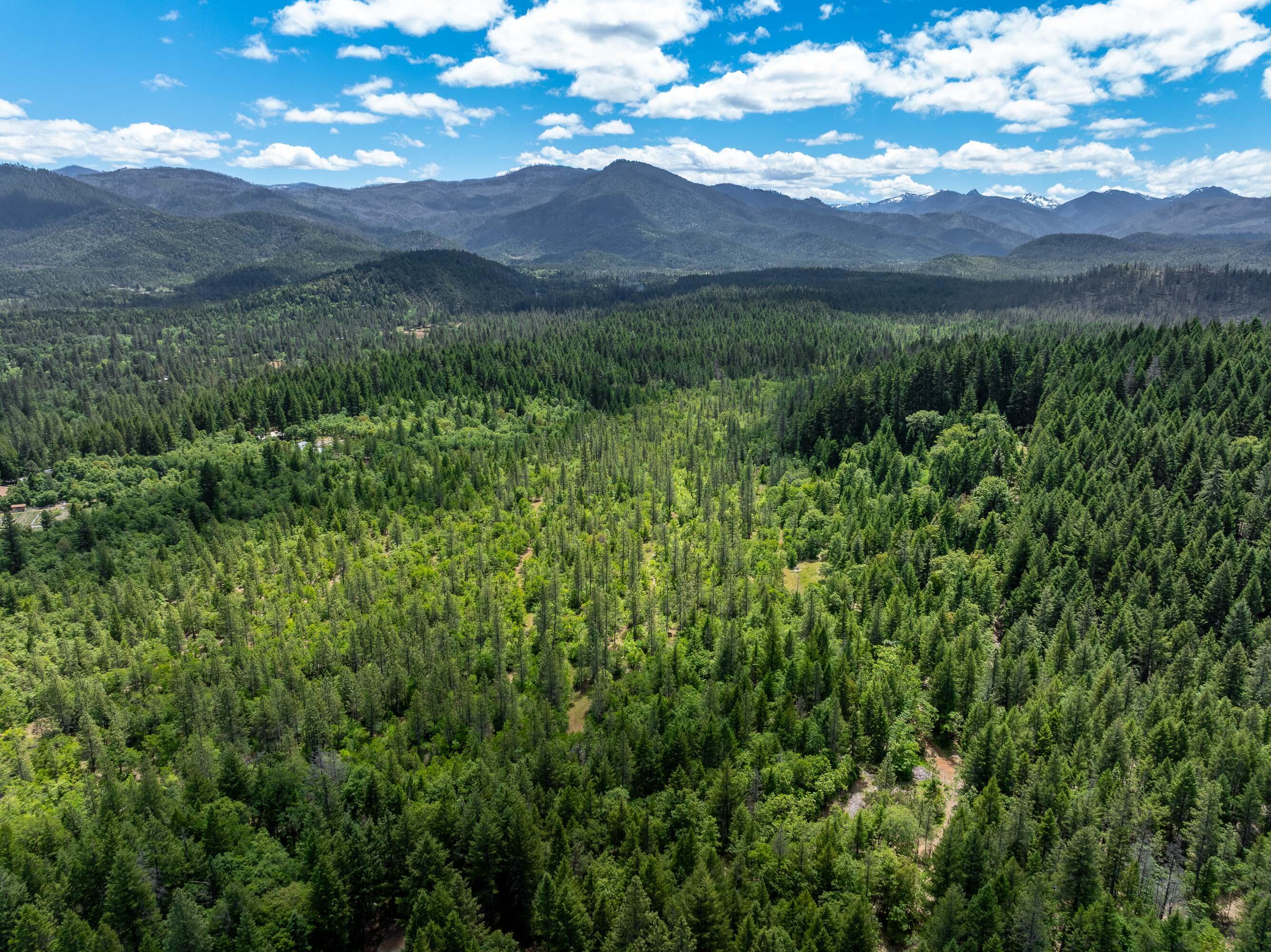 525 Sherier Road Cave Junction, OR 97523 - Photo 15 of 20 DRONE (6 of 9)