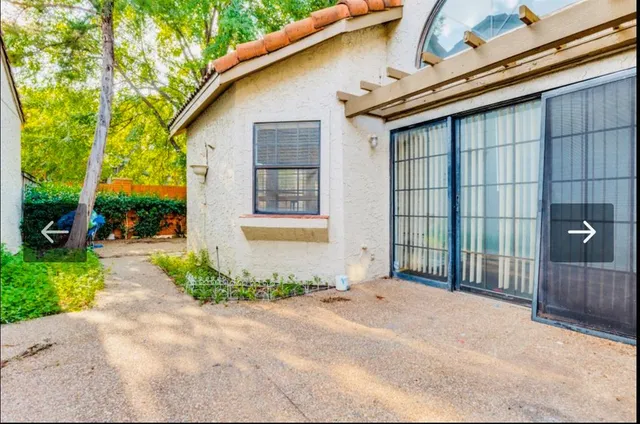 a row of palm trees and a yard with wooden fence