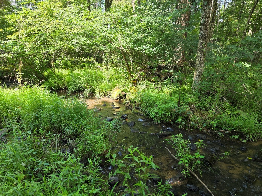 502 Alum Ridge Road Northwest Willis, VA 24380 - Photo 39 of 55 Gallery Image 39