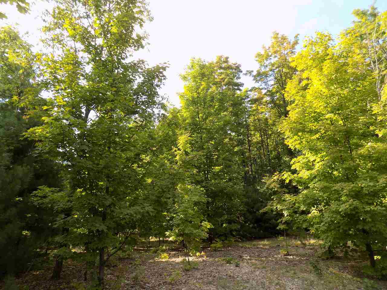 18848 Cedar Run Road Traverse City, MI 49684 - Photo 35 of 38 1852902-34.JPG