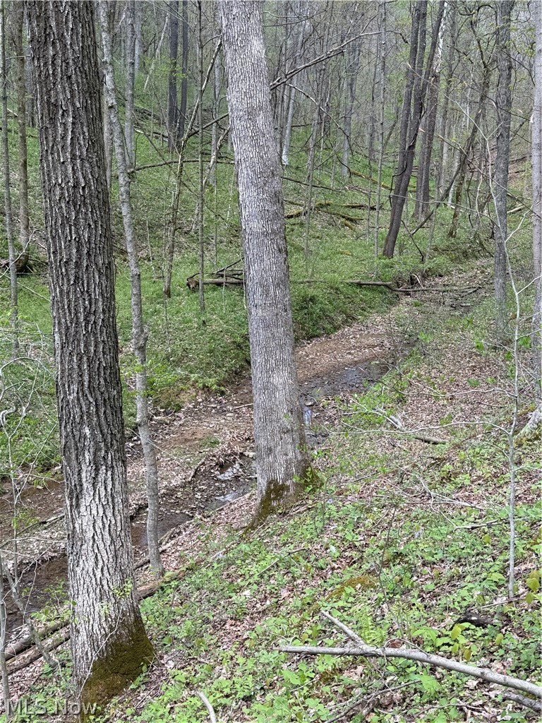 Plainview Road Woodsfield, OH 43793 - Photo 14 of 20