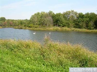 19 County Route Hudson, NY 12534 - Photo 4 of 6 a view of a lake from a yard