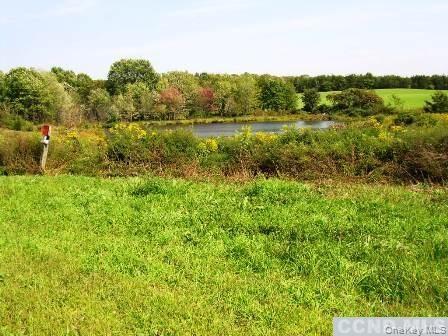 19 County Route Hudson, NY 12534 - Photo 5 of 6 a view of a lush green forest with lots of trees