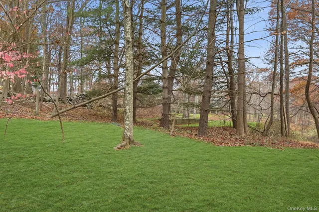 a green field with lots of trees