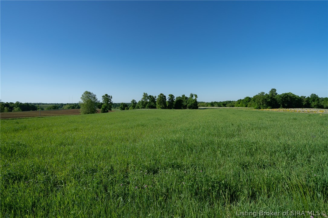 6 Book Road Floyds Knobs, IN 47119 - Photo 5 of 10 Gallery Image 5