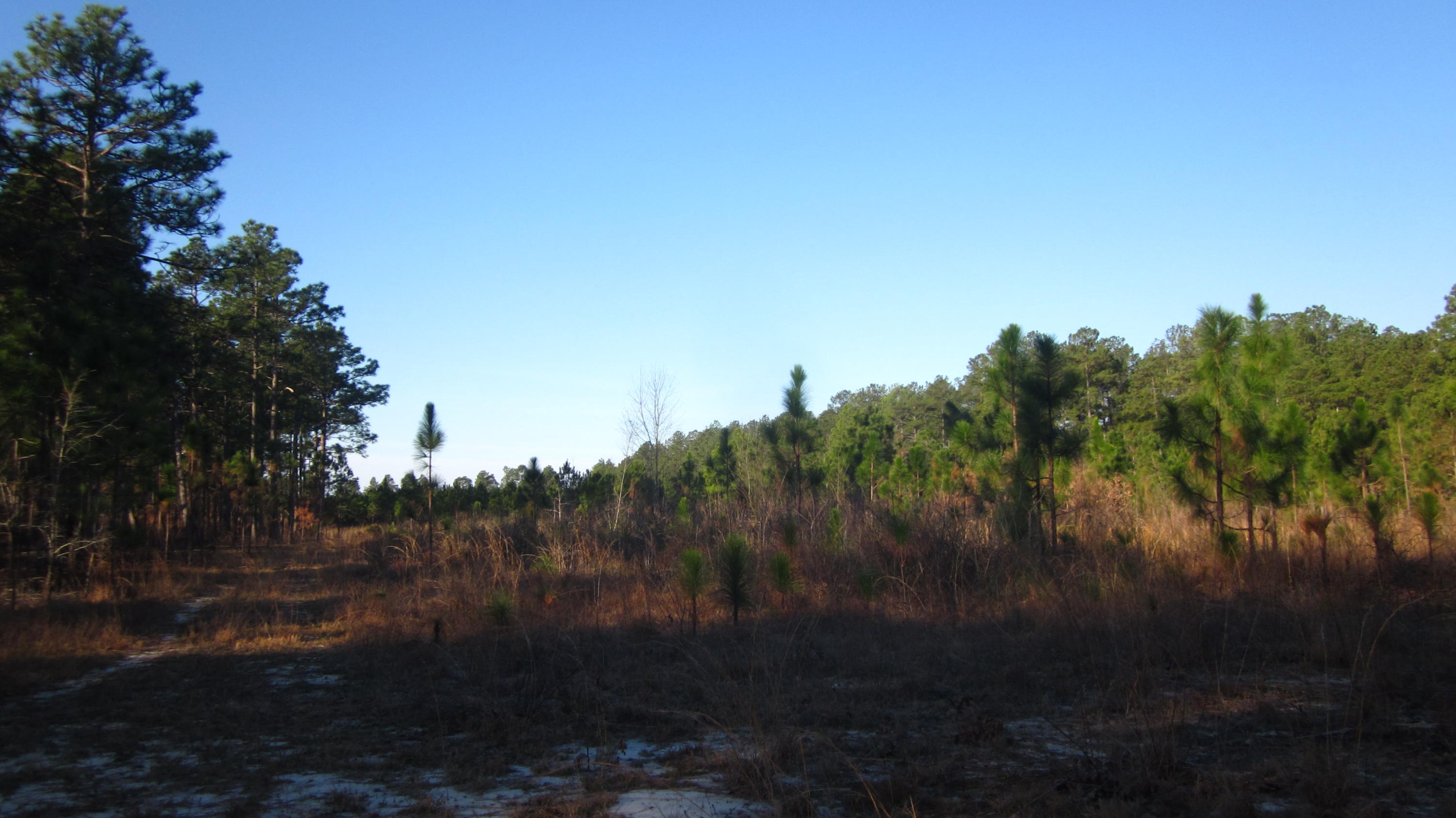 763 Furr Road Vass, NC 28394 - Photo 11 of 12 IMG_5216