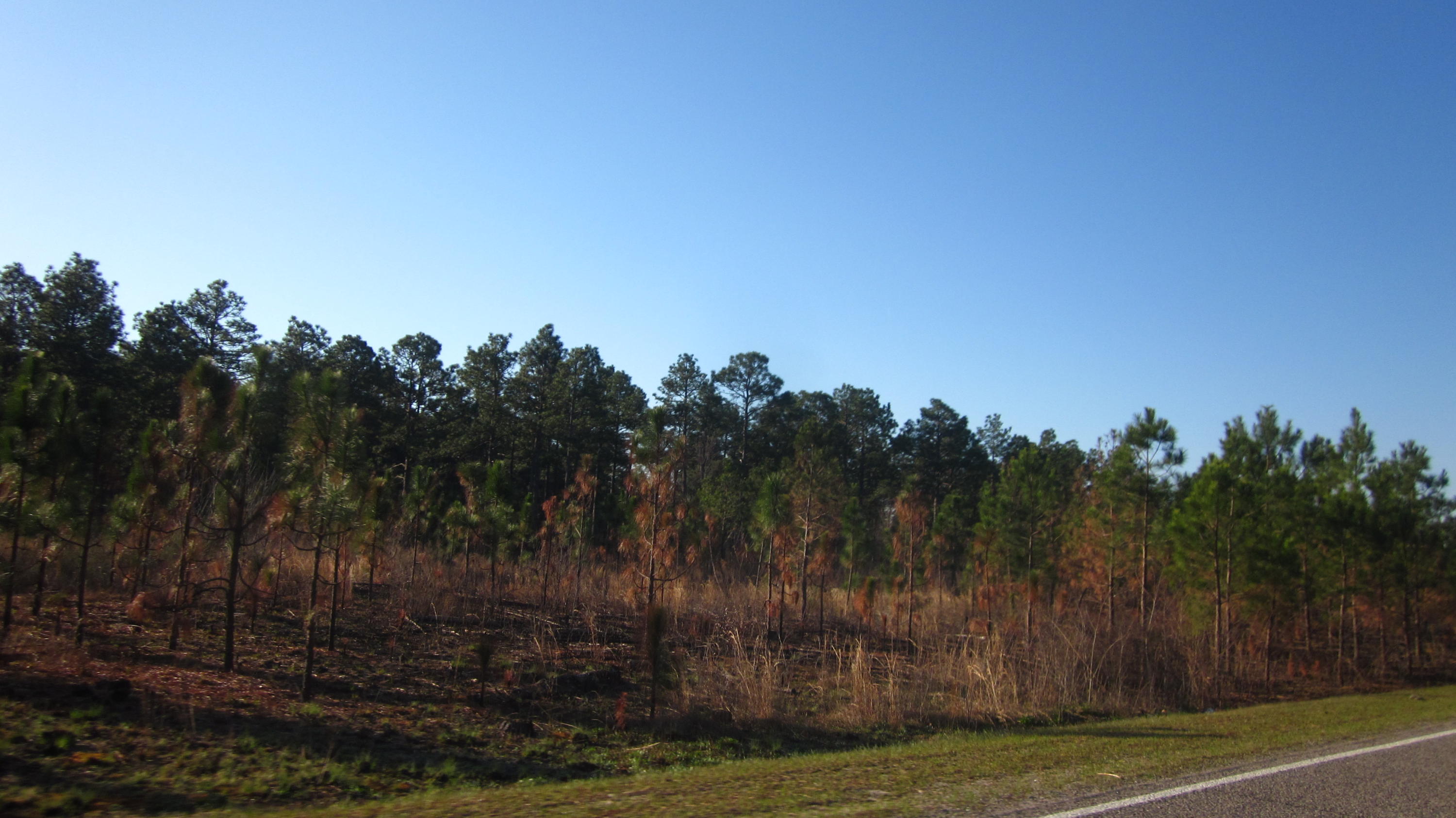 763 Furr Road Vass, NC 28394 - Photo 12 of 12 IMG_5219