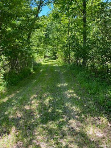 V/l Underwood Road Caro, MI 48723 - Photo 12 of 13