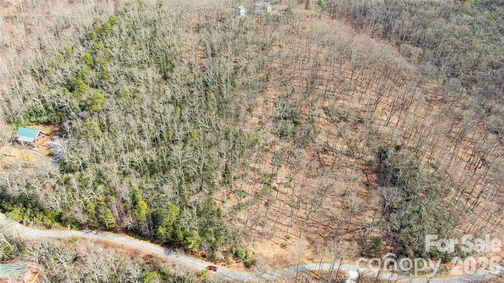 99999 Red Oak Forest Road, Unit 1418 Fairview, NC 28730 - Photo 13 of 24
