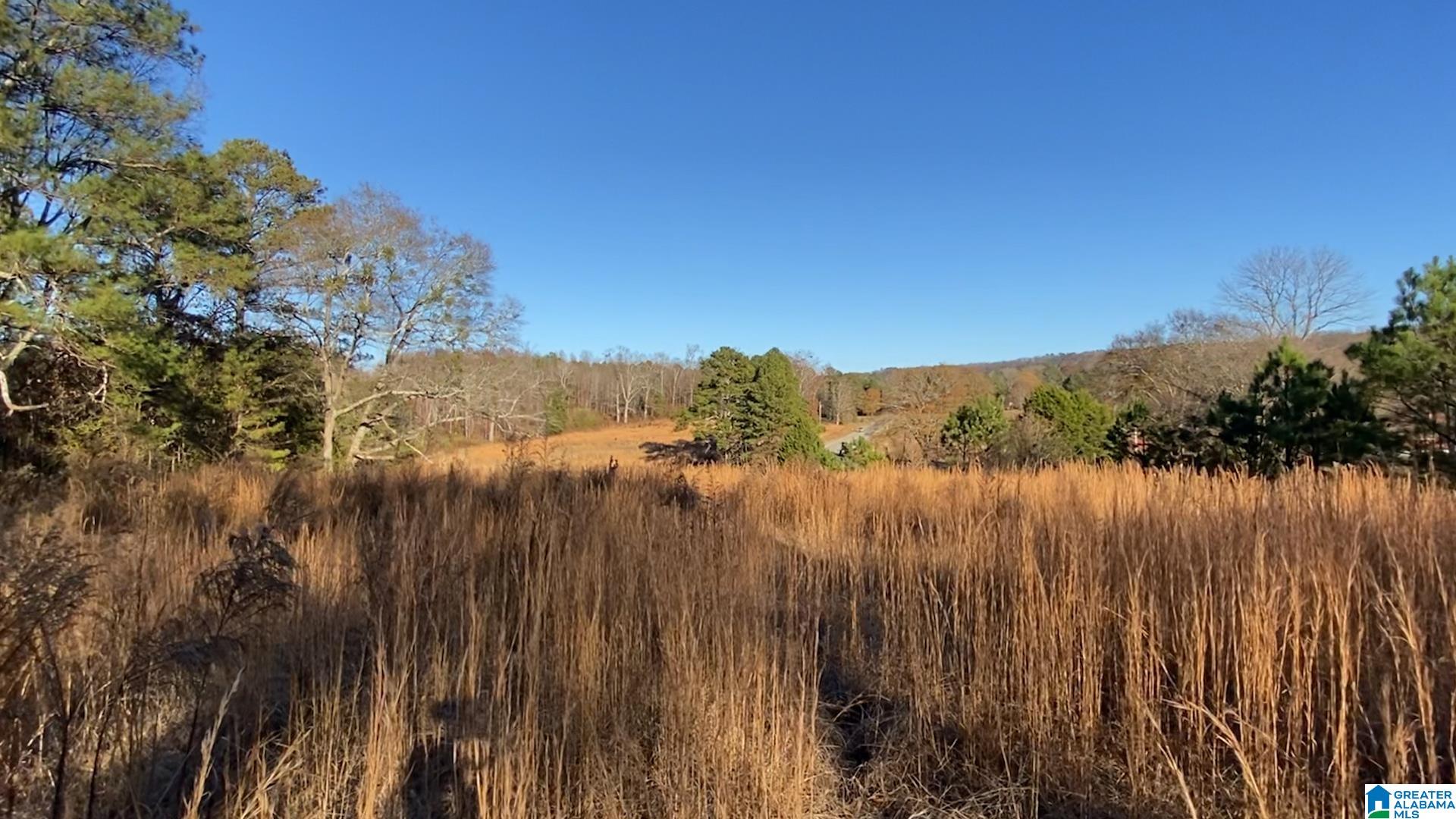 0 Highway 132, Unit 7 82 / ACRES Oneonta, AL 35121 - Photo 8 of 9