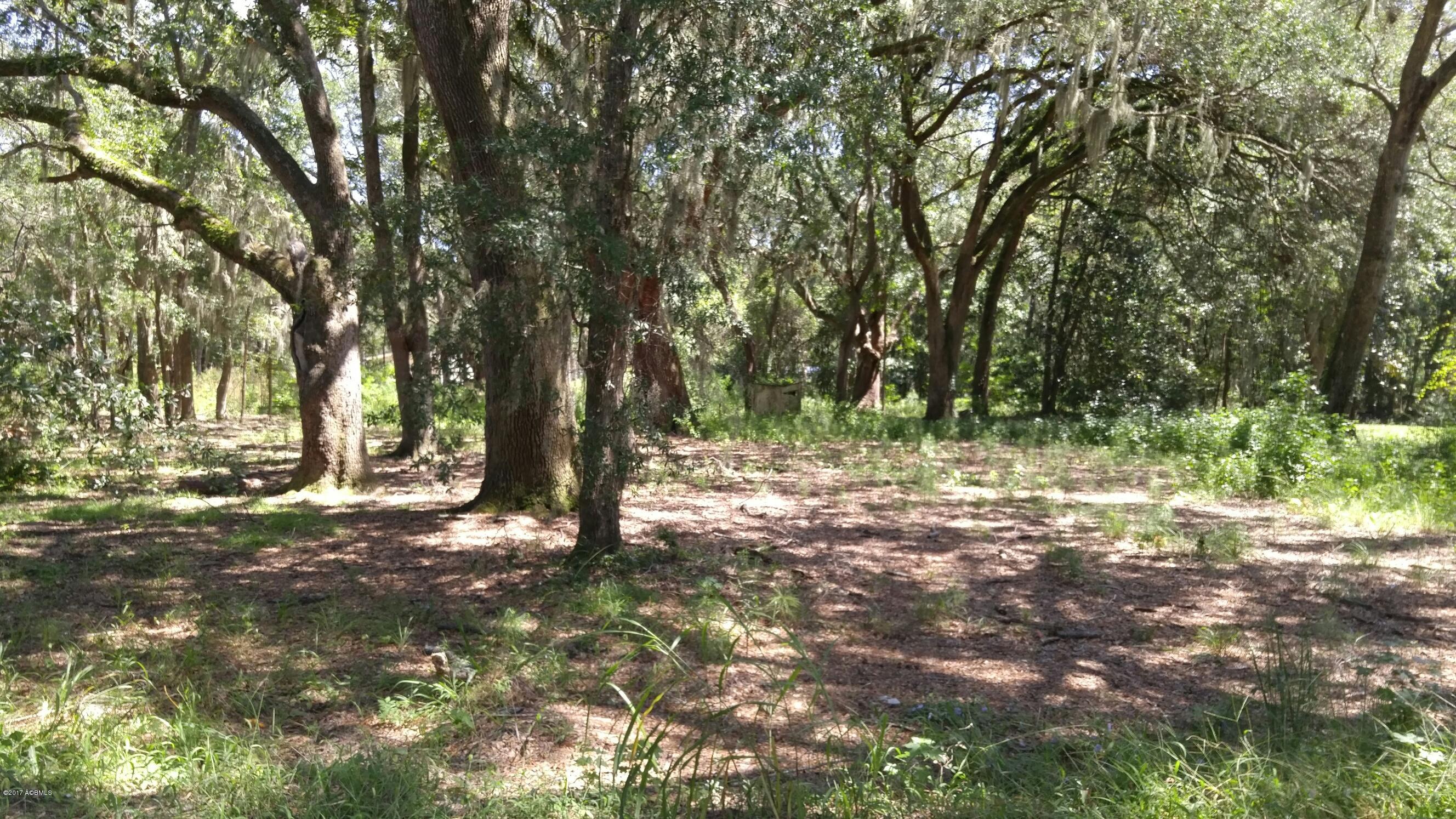 21 Leo Green Road Beaufort, SC 29906 - Photo 4 of 7 20170901_131346_resized
