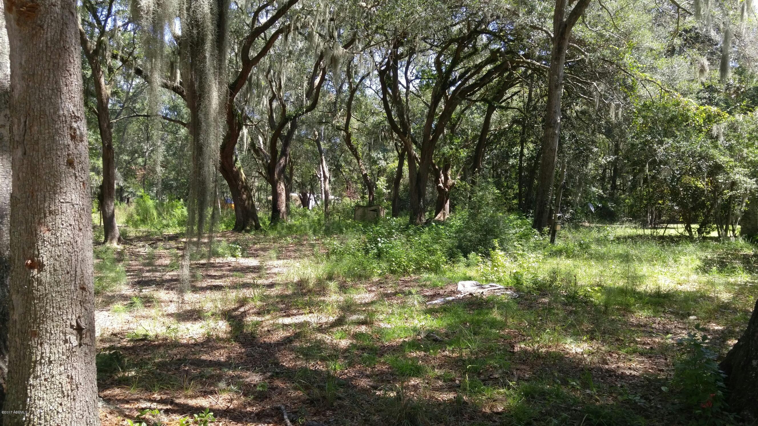 21 Leo Green Road Beaufort, SC 29906 - Photo 6 of 7 20170901_131403_resized