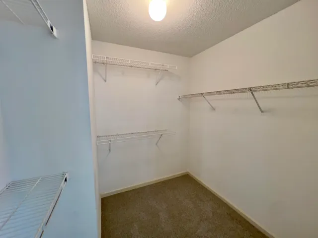 $2,750 | 251 Cross Point Cove, Collierville, TN 38017