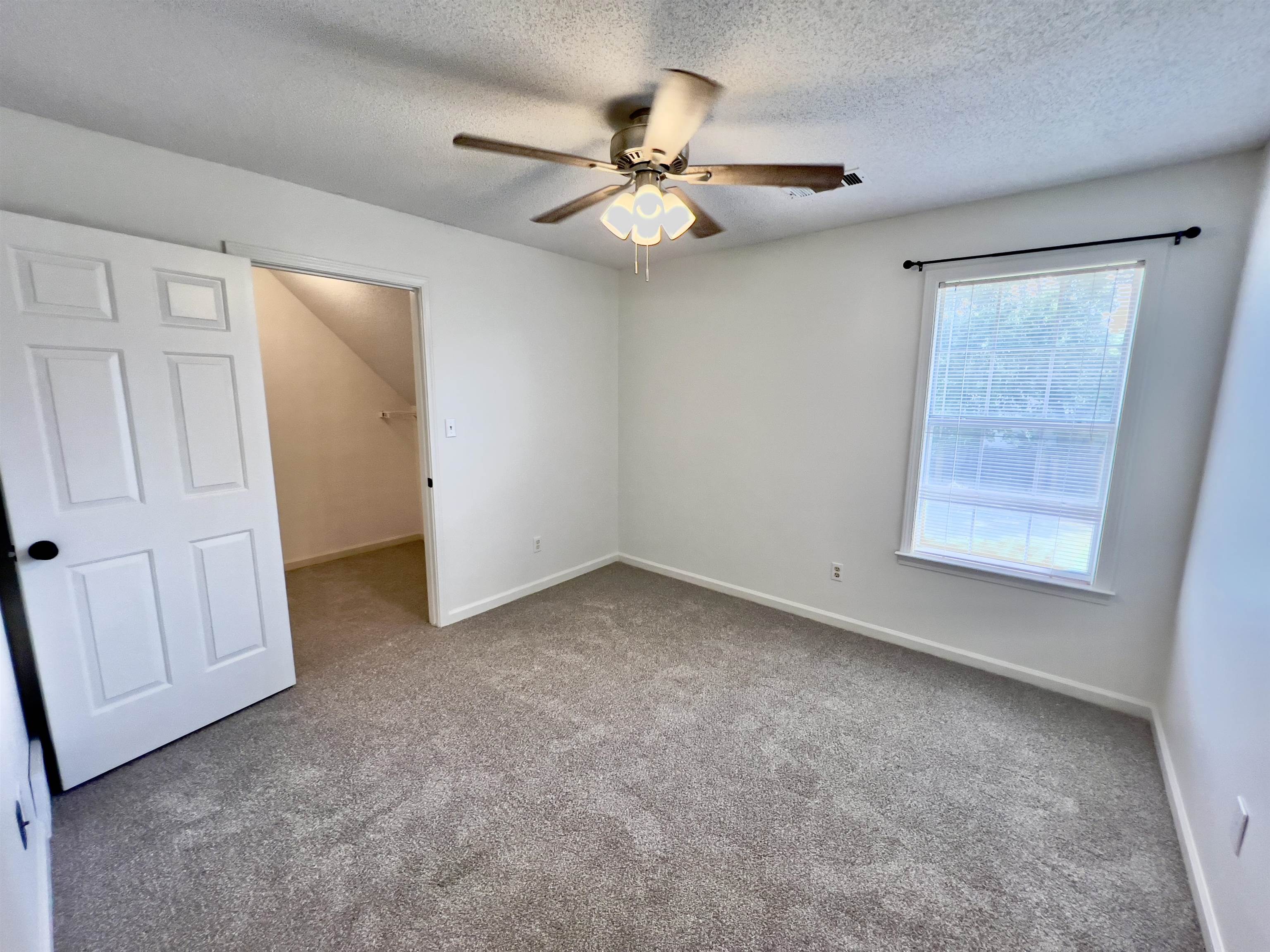 251 Cross Point Cove Collierville, TN 38017 - Photo 16 of 17 Unfurnished bedroom featuring a walk in closet, carpet, a closet, a textured ceiling, and ceiling fan