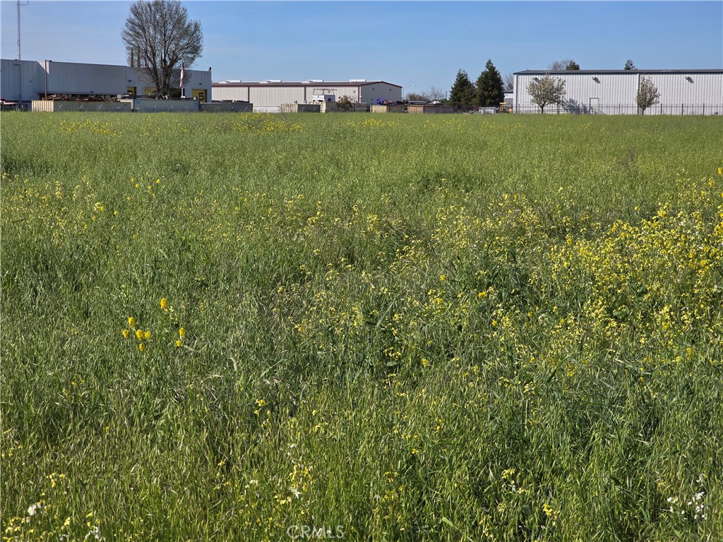 817 Beechcraft Avenue Merced, CA 95341 - Photo 2 of 7 a view of a field with plants and large trees