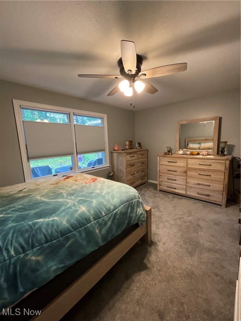 557 Wilcox Road, Unit A Austintown, OH 44515 - Photo 27 of 39