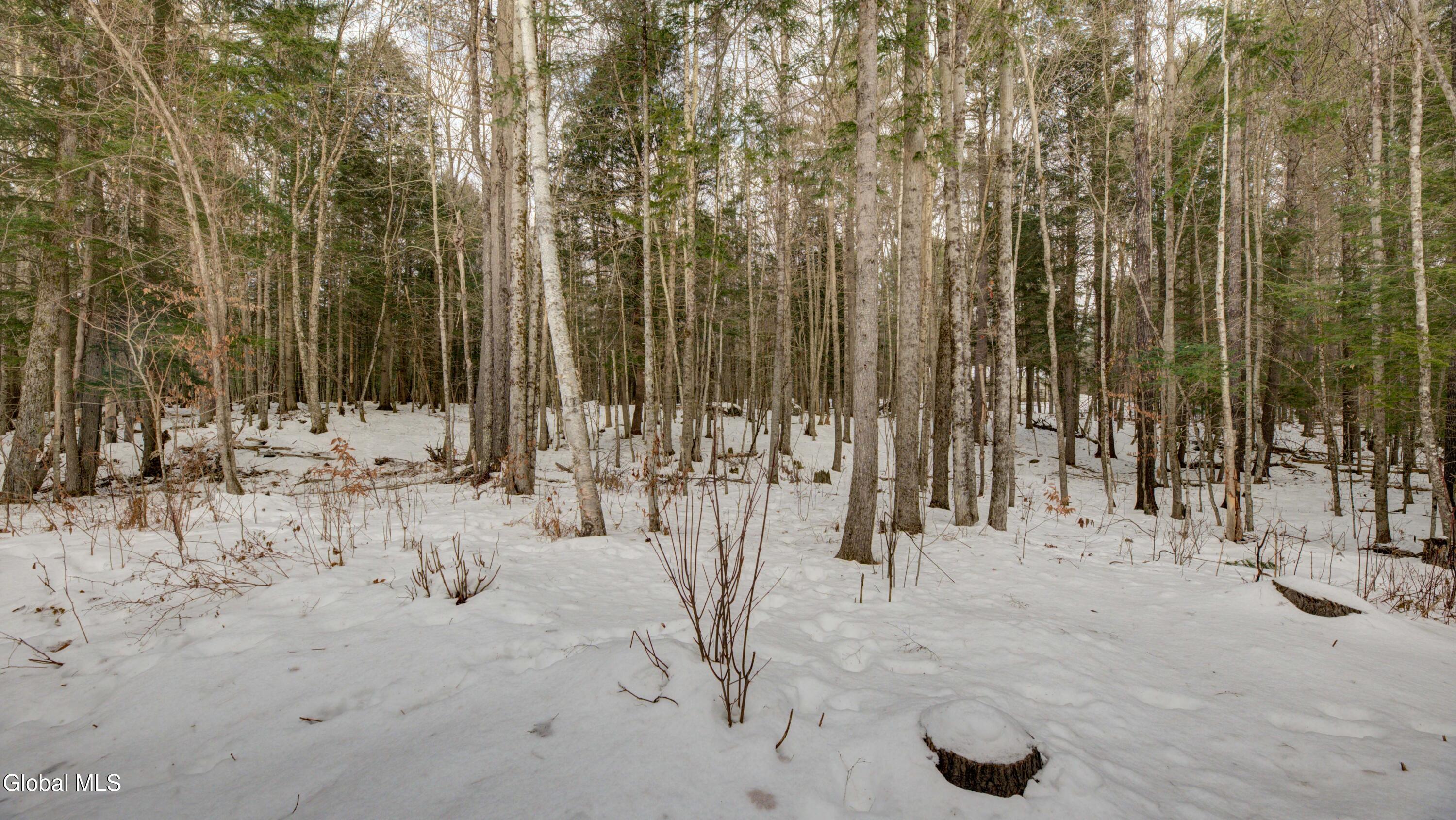 241 Windfall Road Wells, NY 12190 - Photo 57 of 75 241 Windfall Rd-57