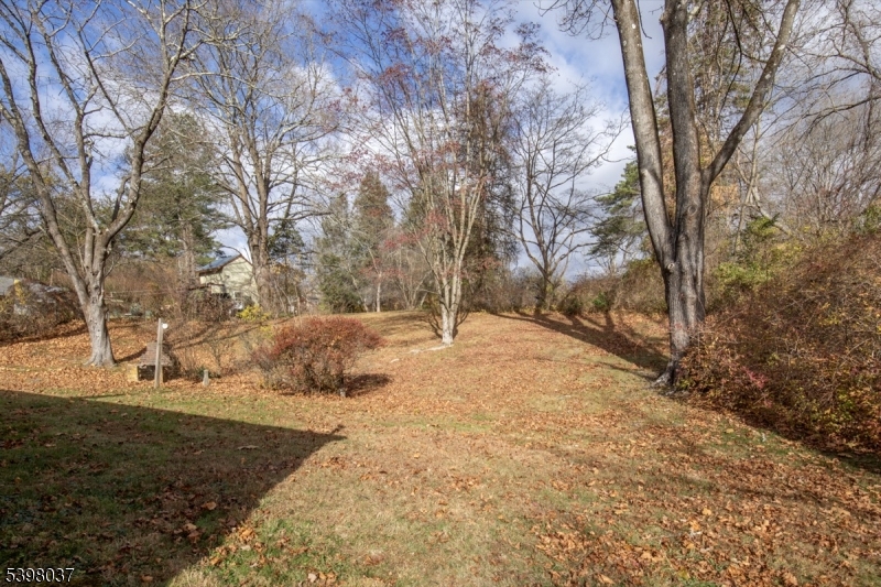 10 Maple Street Peapack-Gladstone, NJ 07977 - Photo 20 of 24