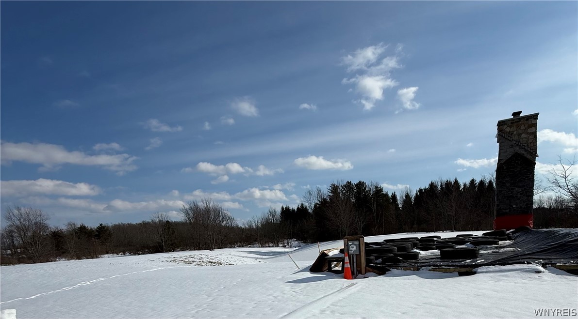 8191 Cole Road Boston, NY 14033 - Photo 8 of 10