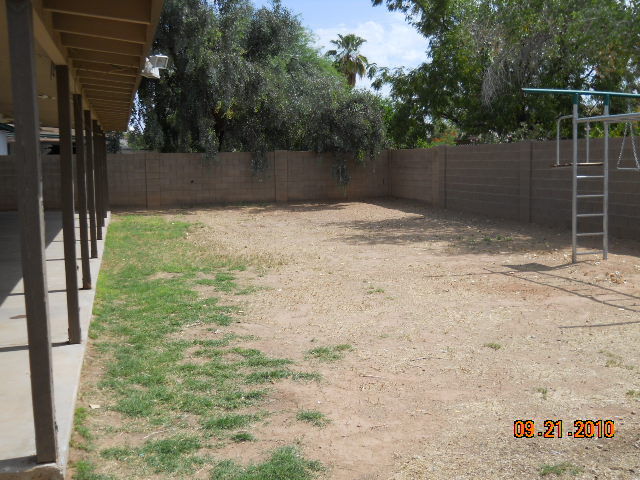 305 East Harwell Road Gilbert, AZ 85234 - Photo 6 of 15 Backyard