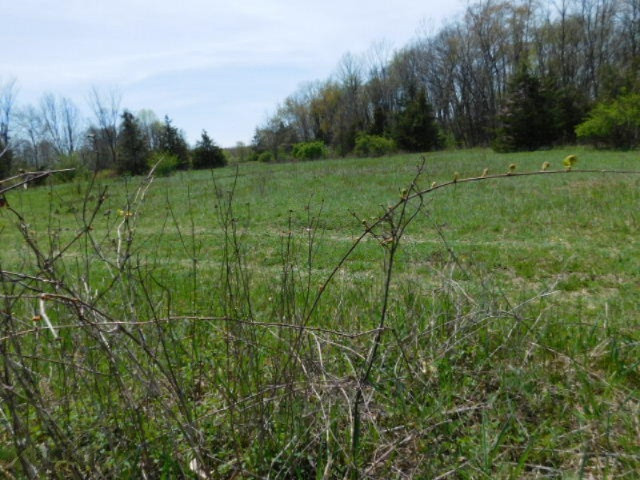1935 Walton Road Niles, MI 49120 - Photo 15 of 36 2017-04-24 14.10.23