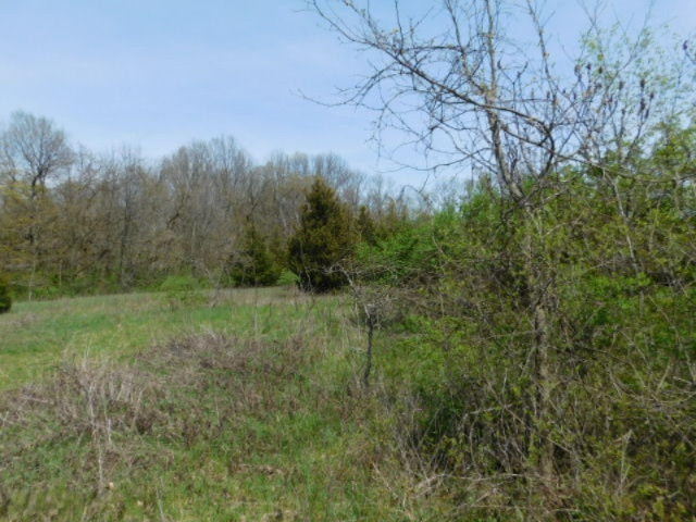 1935 Walton Road Niles, MI 49120 - Photo 16 of 36 2017-04-24 14.10.59