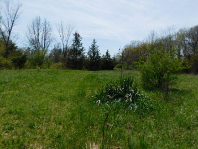 1935 Walton Road Niles, MI 49120 - Photo 17 of 36 2017-04-24 14.11.18