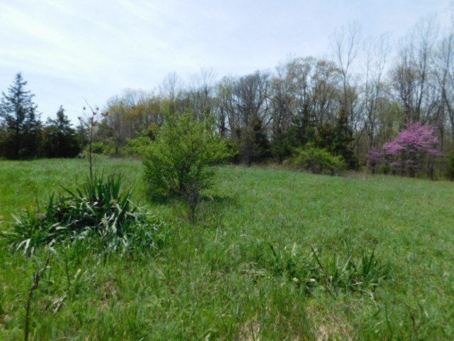 1935 Walton Road Niles, MI 49120 - Photo 18 of 36 2017-04-24 14.11.21