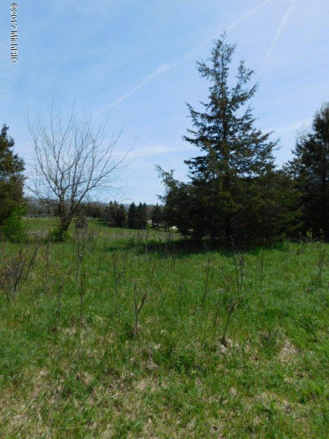 1935 Walton Road Niles, MI 49120 - Photo 20 of 36 2017-04-24 14.11.38