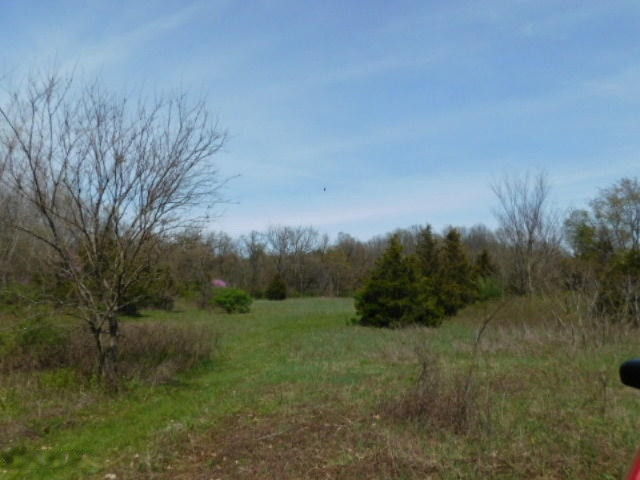 1935 Walton Road Niles, MI 49120 - Photo 23 of 36 2017-04-24 14.14.54